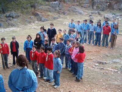 Grupo Scout organizado por secciones durante una ceremonia scout